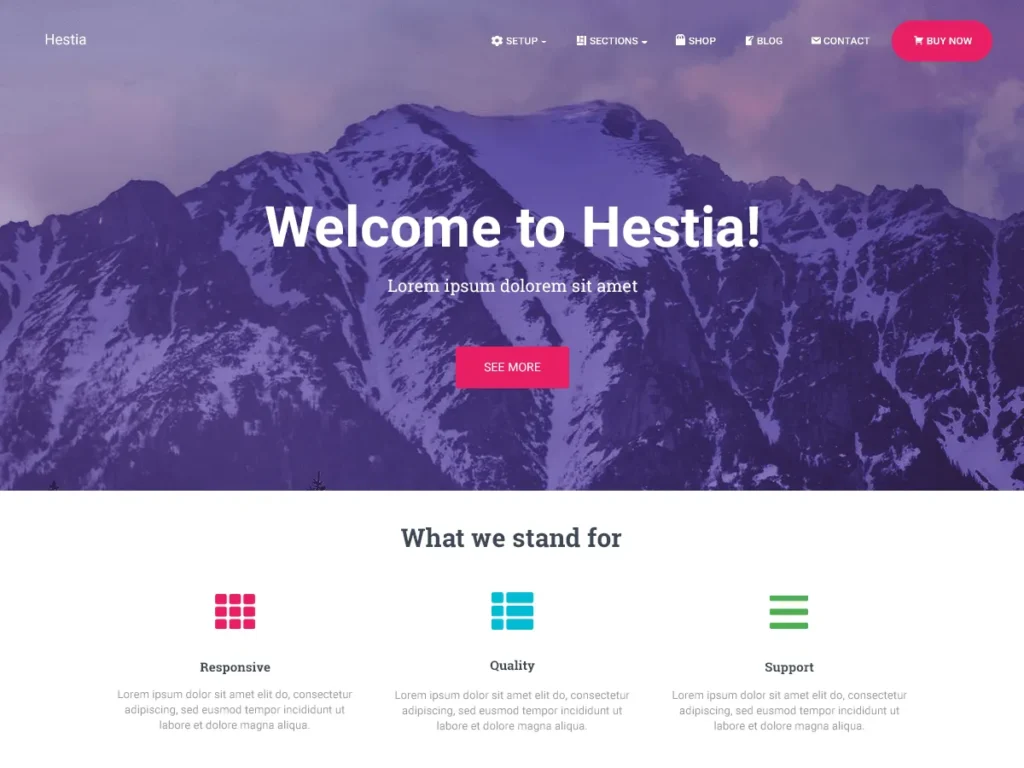 Hestia Best WordPress Themes.webp